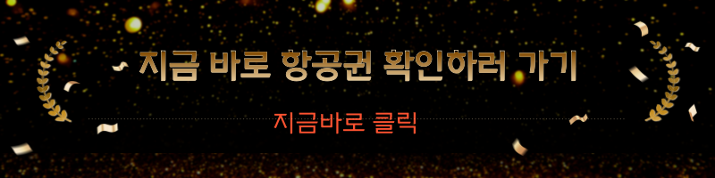 항공권 구매 이미지