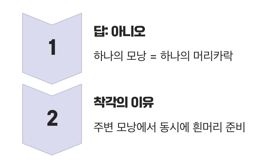 뽑으면 정말 두 가닥이 날까?