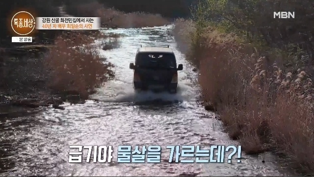 배우 최일순 근황