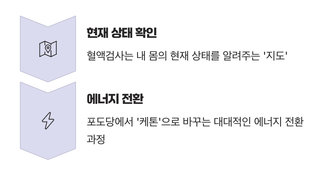 내 몸의 출발선을 확인하는 지도