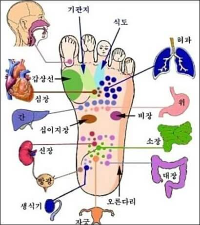 발바닥 통증부위 3
