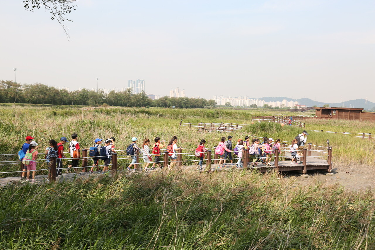 갯골습지놀이터