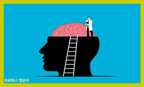 신경전달물질의 종류와 기능 사진