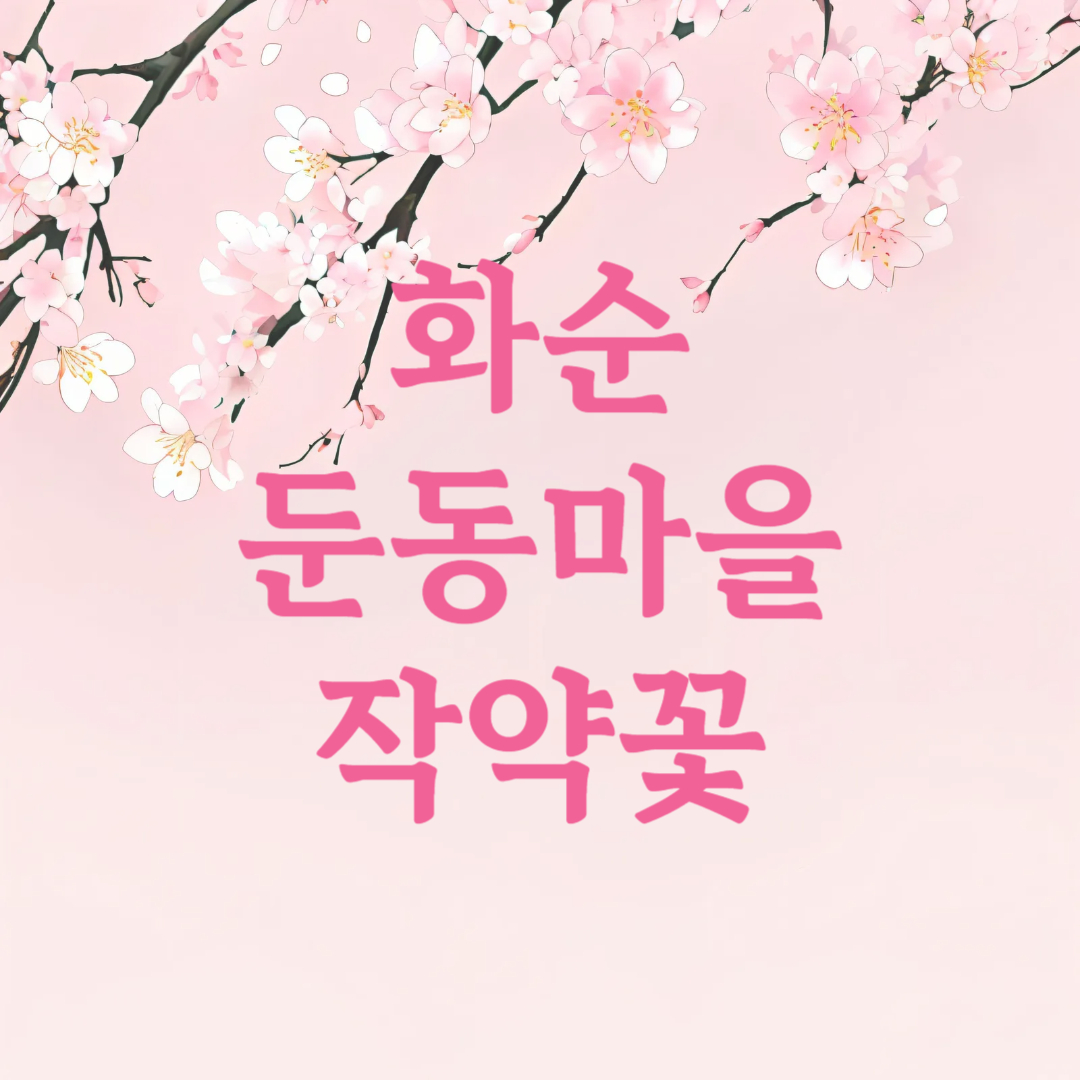 화순 연둔리 둔동마을 작약꽃 숲정이