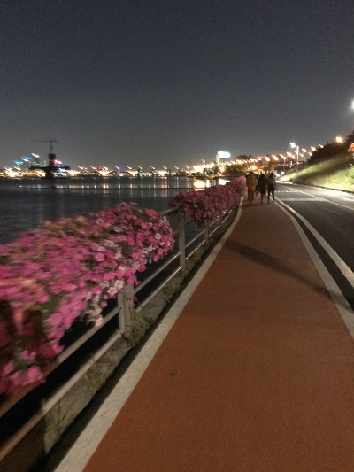 한강-산책길