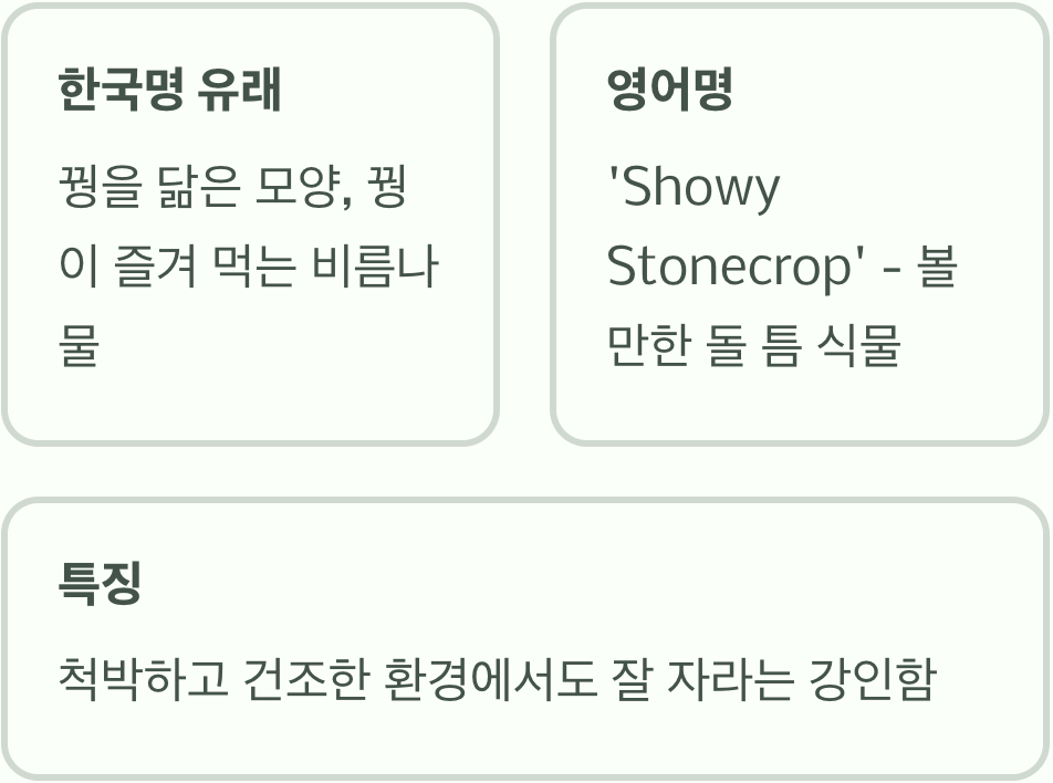 '꿩'과 '비름', 이름에 담긴 비밀