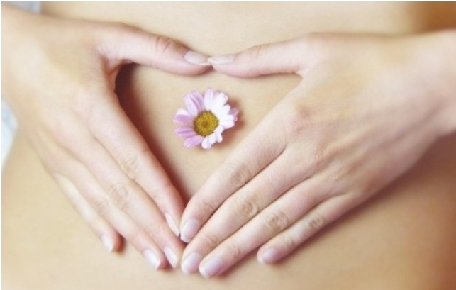 사람신체 배 사진