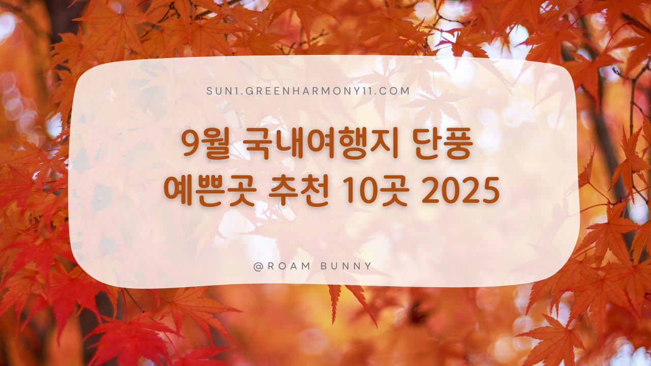 9월 국내여행지 단풍