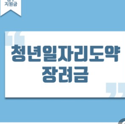 쳥년일자리도약장려금