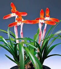 난나라 직거래 장터