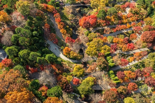화담숲 정경 사진
