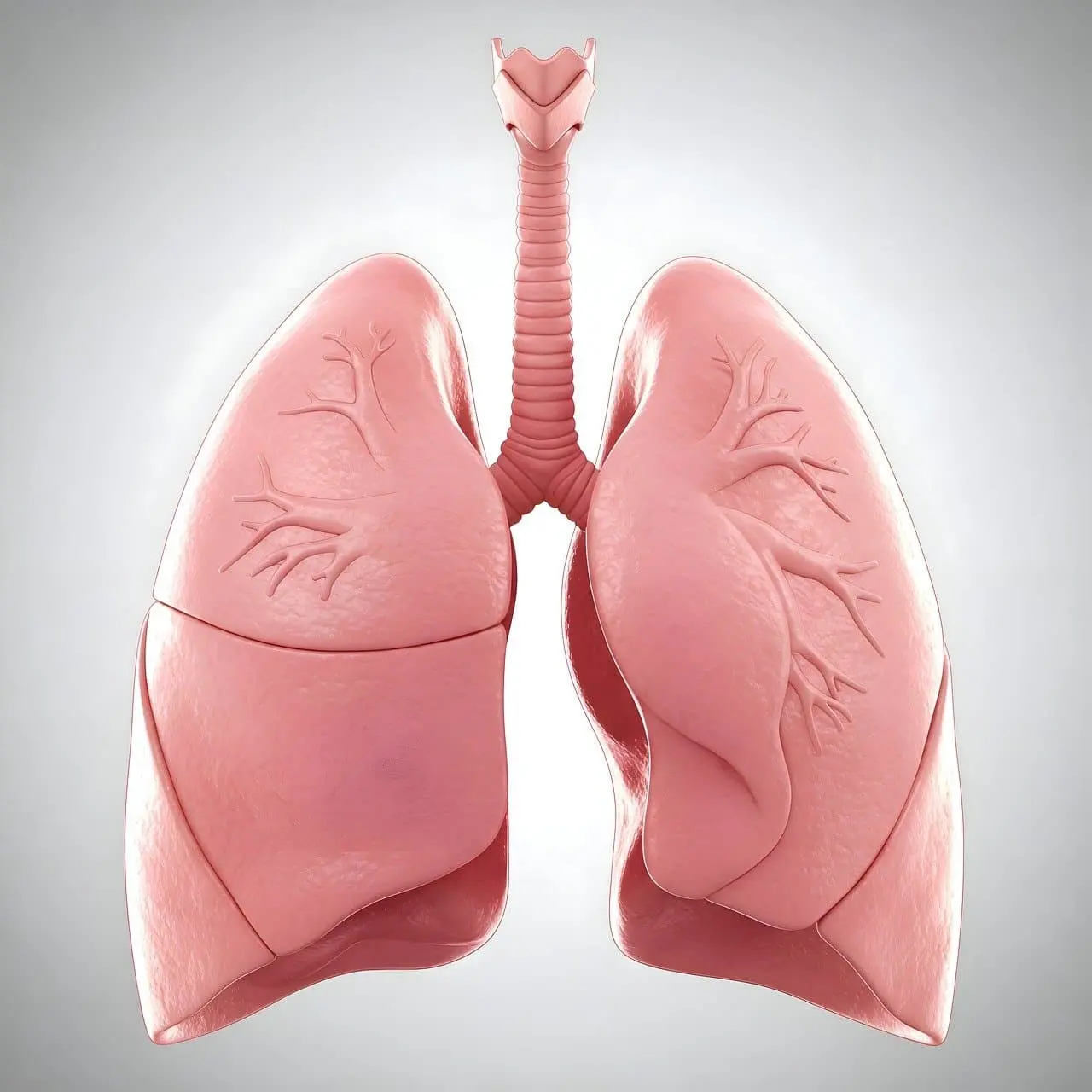 기침은 없는데 가래만 중장년층에게 나타나는 숨은 폐 건강 경고 신호