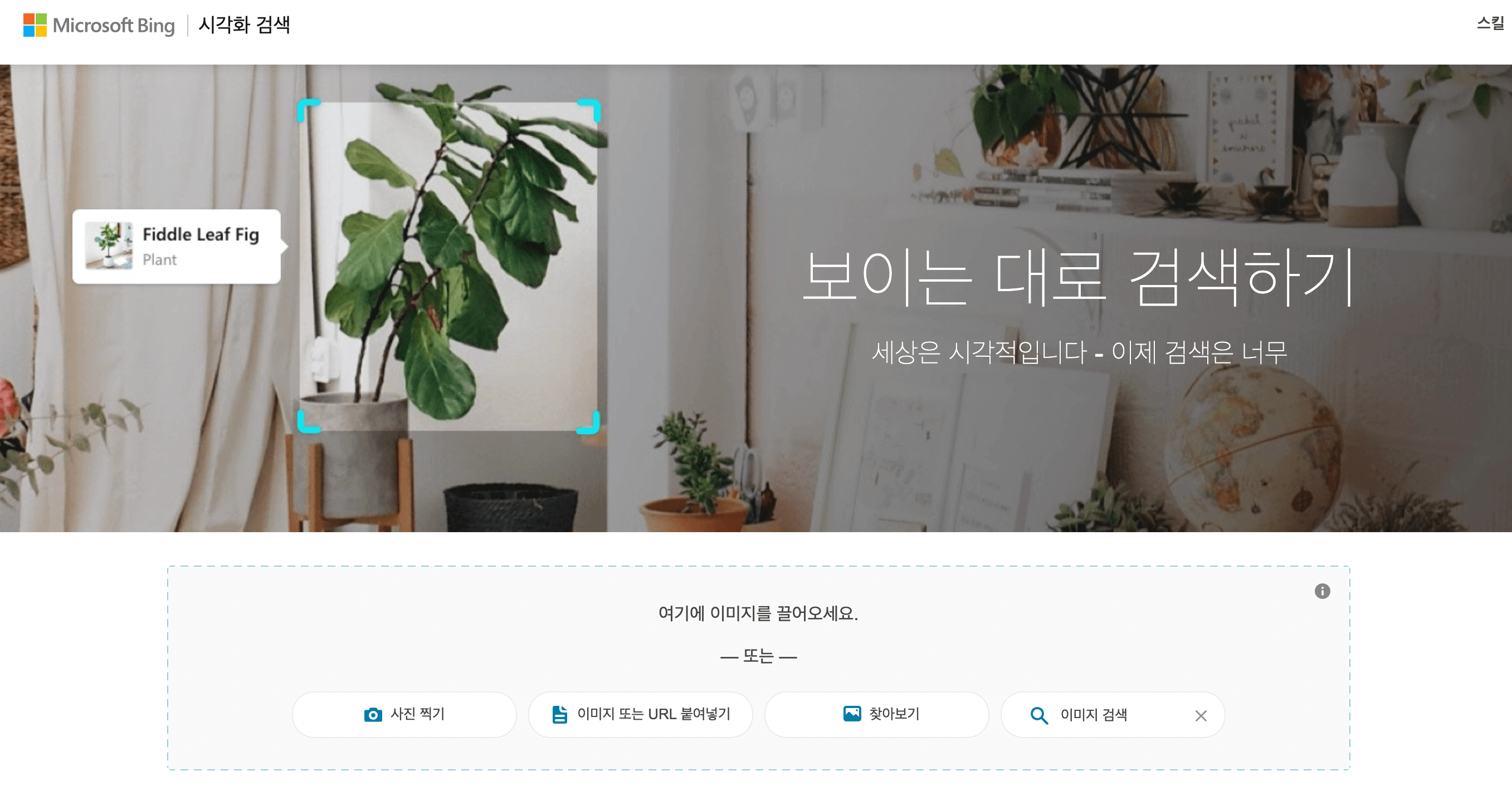 이미지-검색-사이트