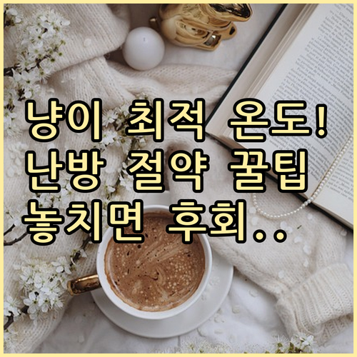 고양이 겨울 실내 환경 최적 온도 습..