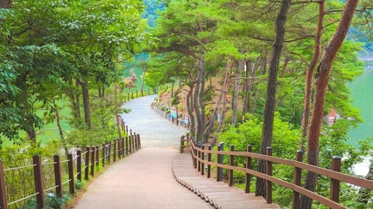 청양 가볼만한곳 베스트 10
