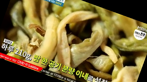 토란대 삶는 법 독성