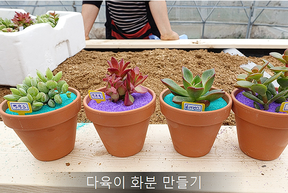 양평 빙송어 축제 체험 프로그램