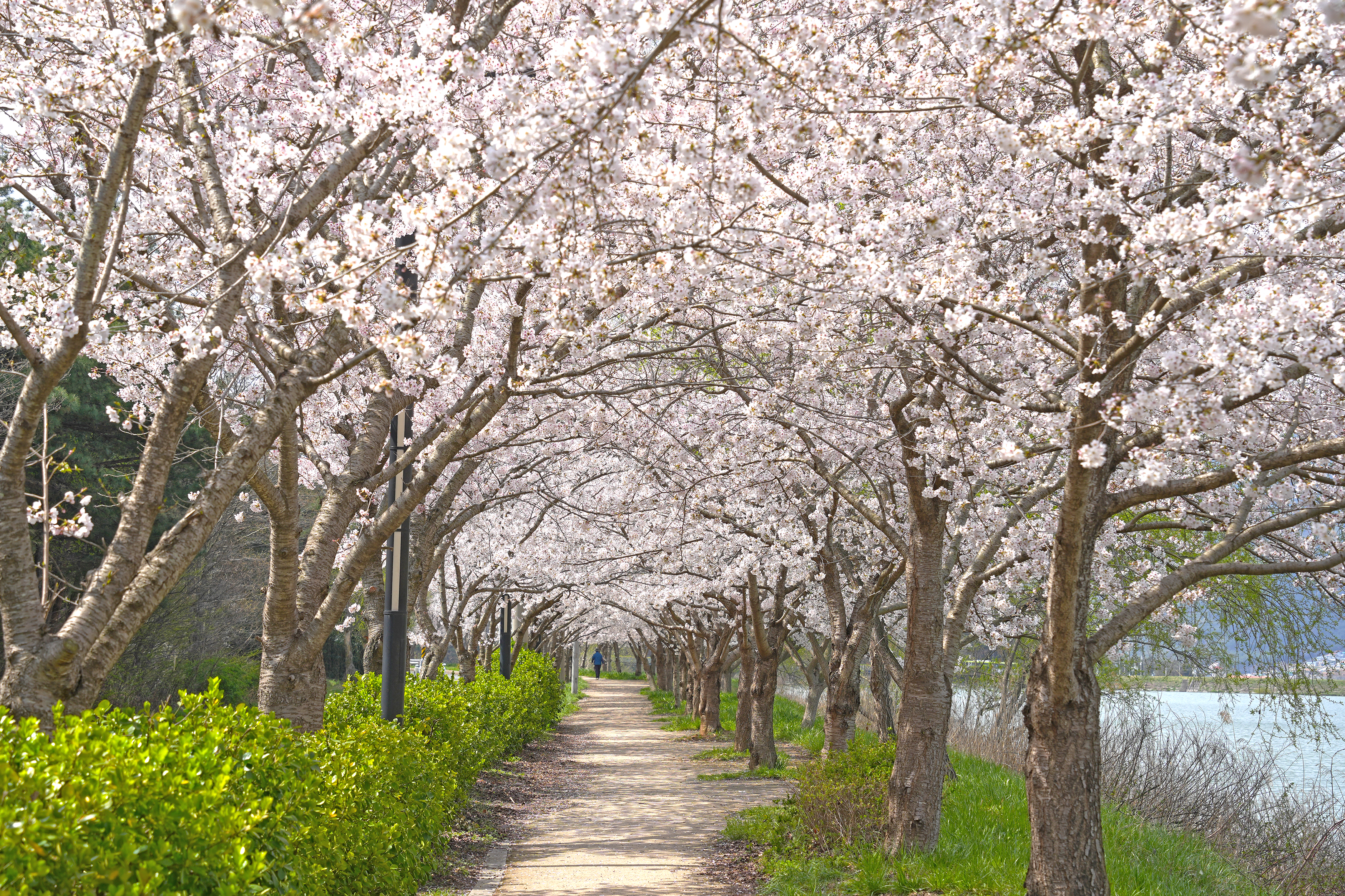 영지 둘레길 관련사진1