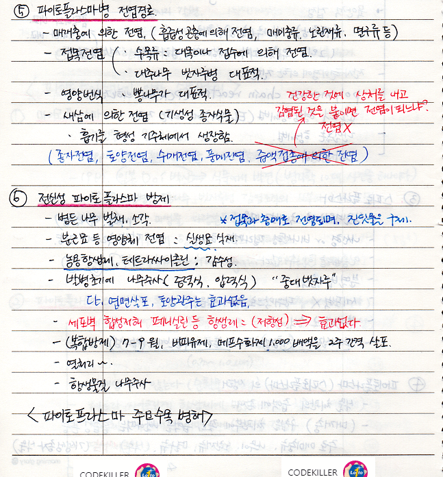 파이토플라스마 전염경로 및 방제