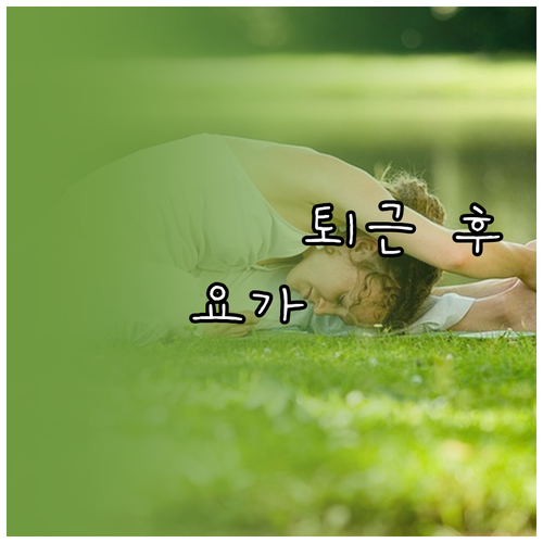 퇴근 후 요가로 활력 충전: 초보자를..