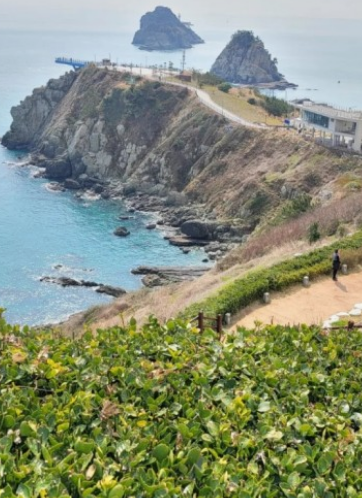 전국수선화명소