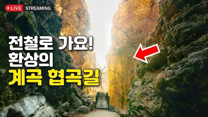 청송 주왕산 여행 코스 폭포 산책 주차 가을 단풍 포인트_3