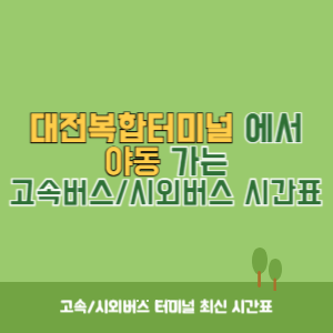 대전복합터미널에서 야동 가는 시외버스 시간표 최신정보