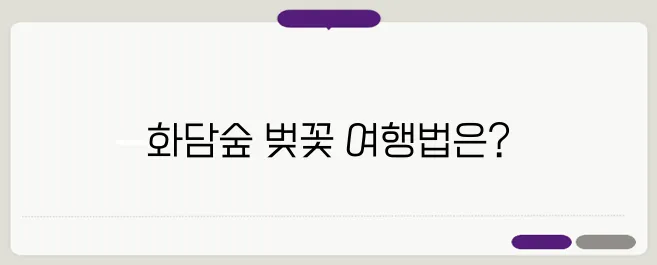 2025년 화담숲의 봄 벚꽃을 만끽하는 여행 일정과 예약 방법을 안내합니다!