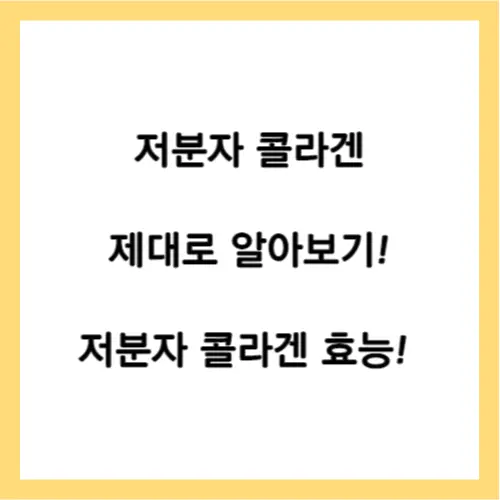 저분자 콜라겐 효능