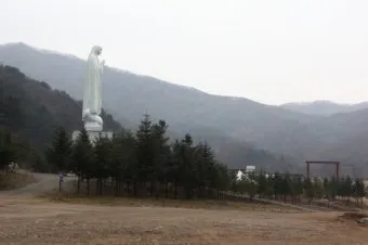 천진암 흰민들레 백양자연관찰로 괭이눈 개화_26