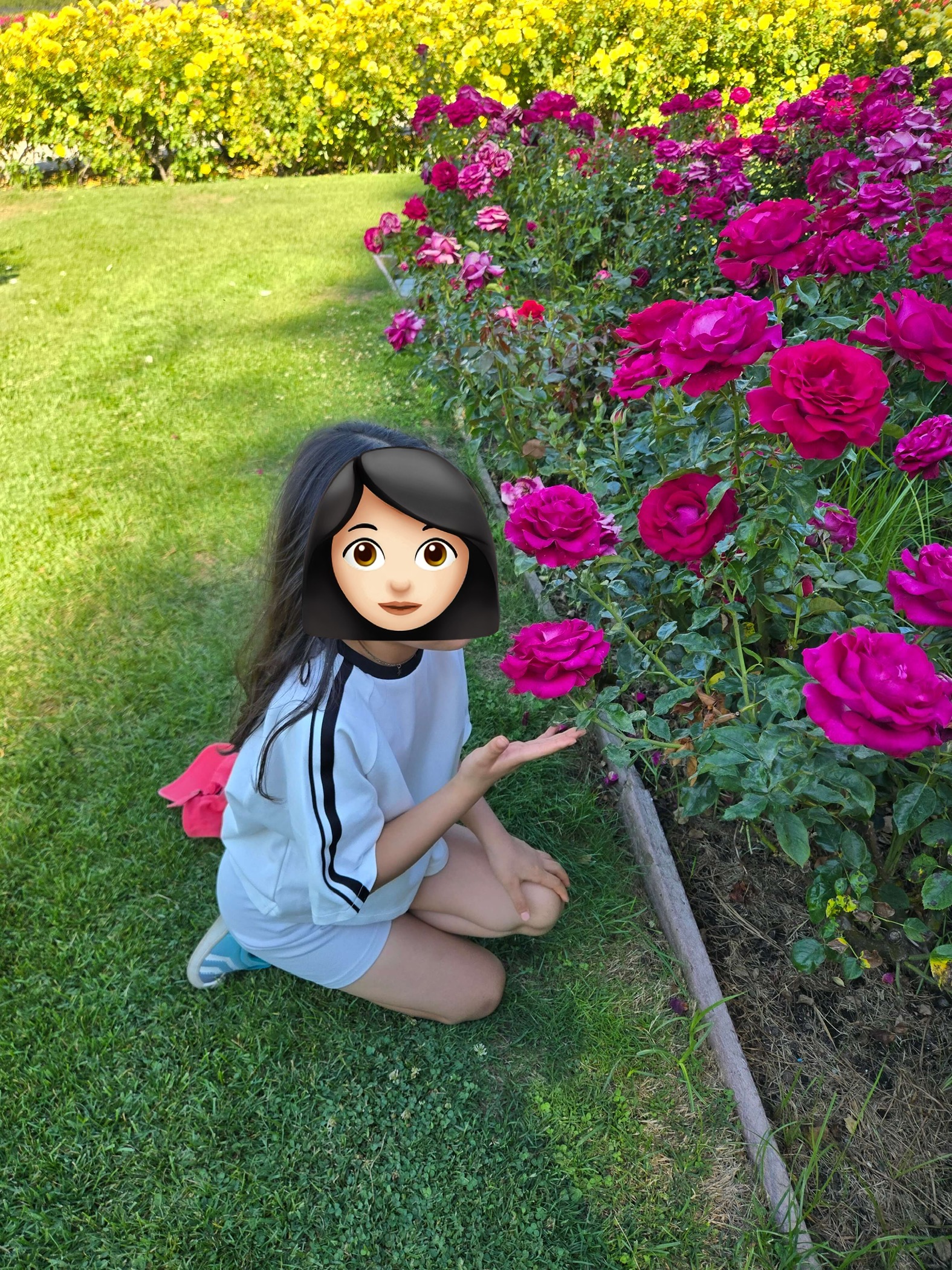 아이들과 함께 산호세 2주 살기(Our 2-Week Stay in San Jose) 관련사진