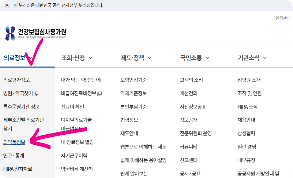 건강보험심사평가원-의약품-정보