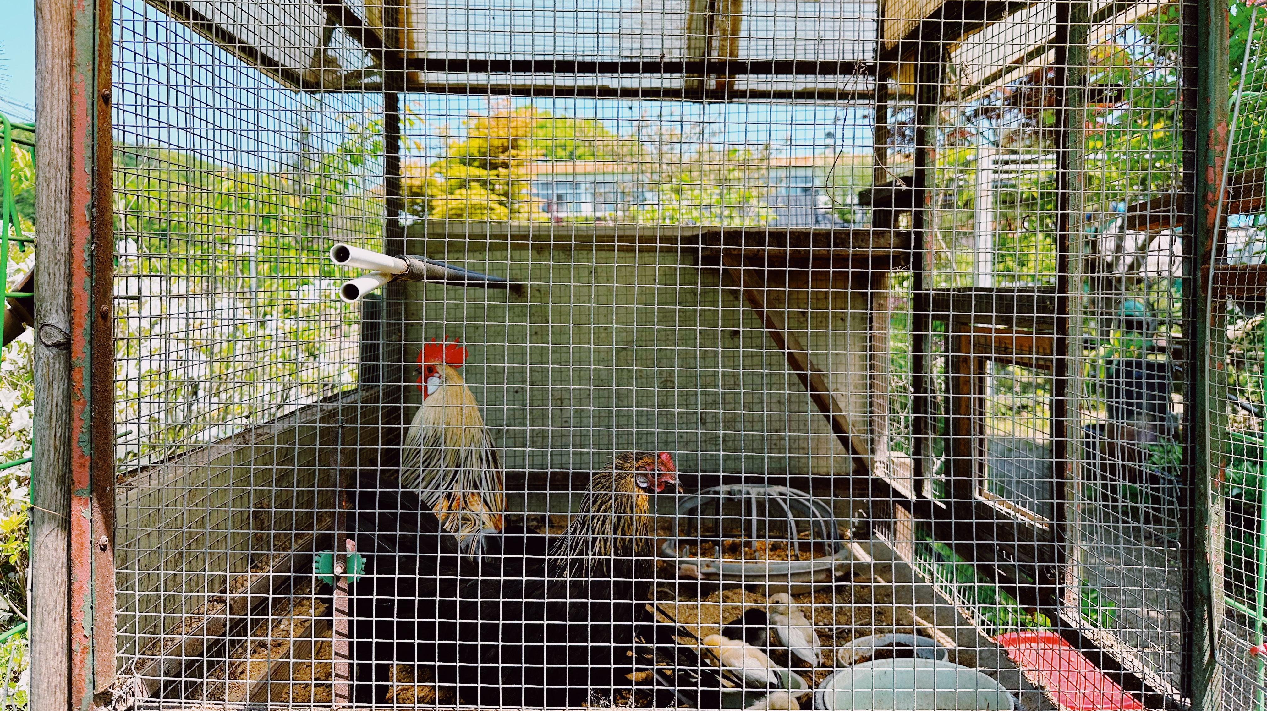 문강도예학습원