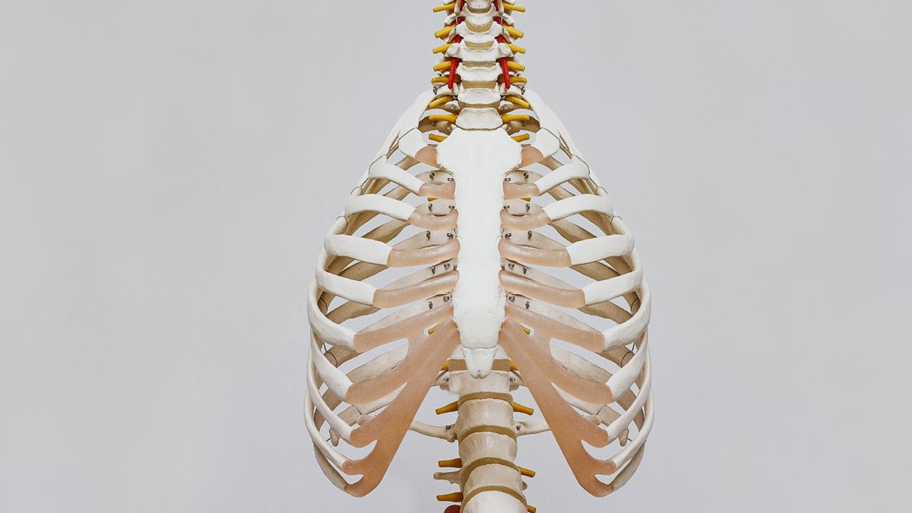 침묵의 장기 간 질환 증상,손상원인 지켜내기