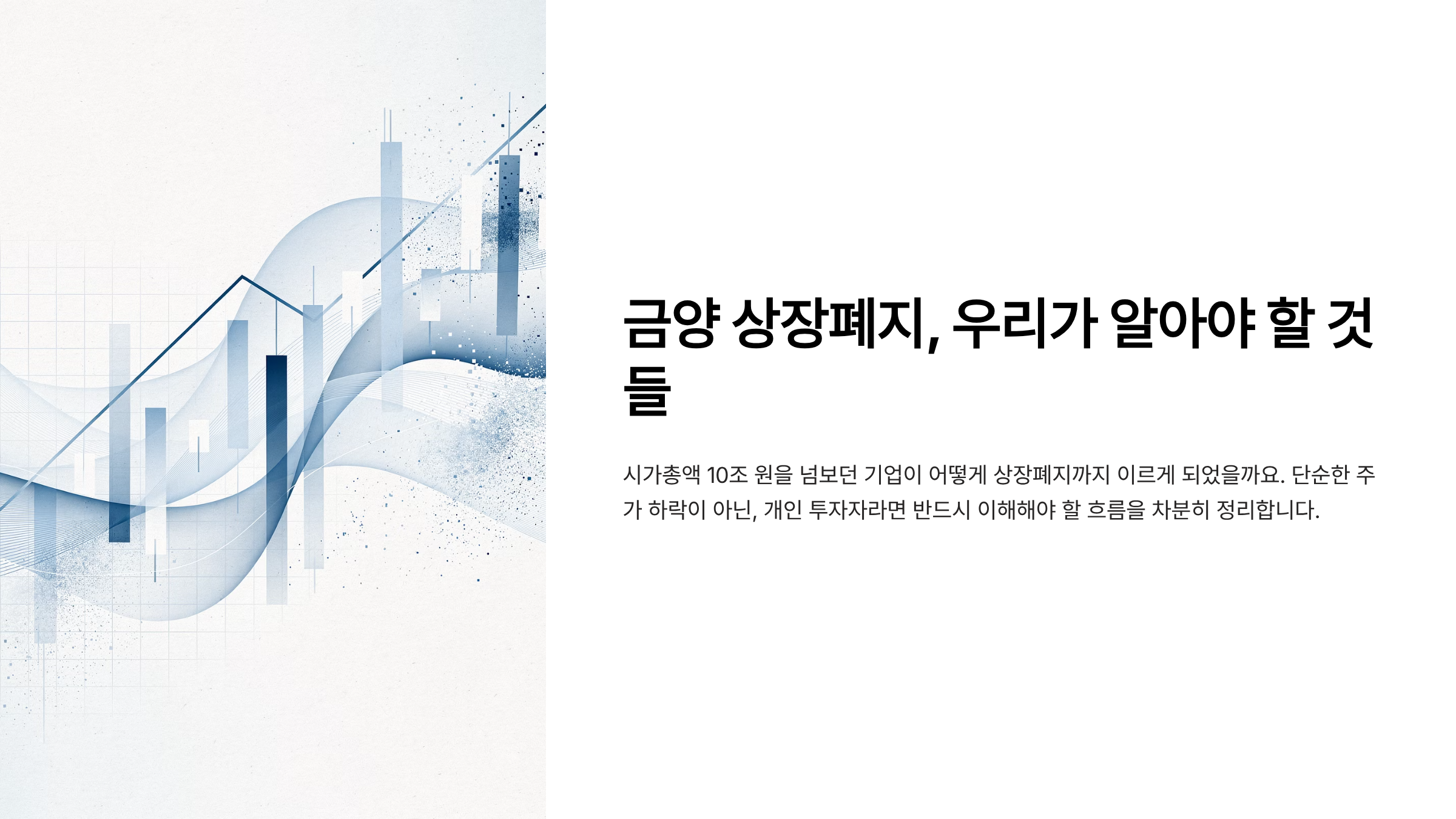 금양 상장폐지 금양 주가