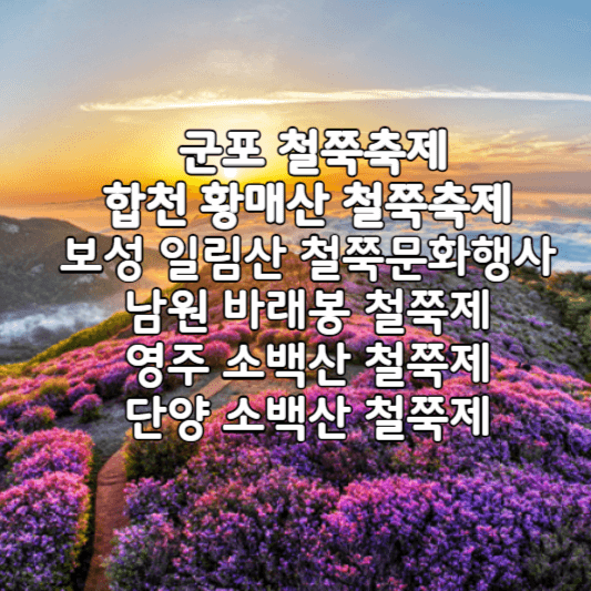 전국철쭉축제안내-썸네일