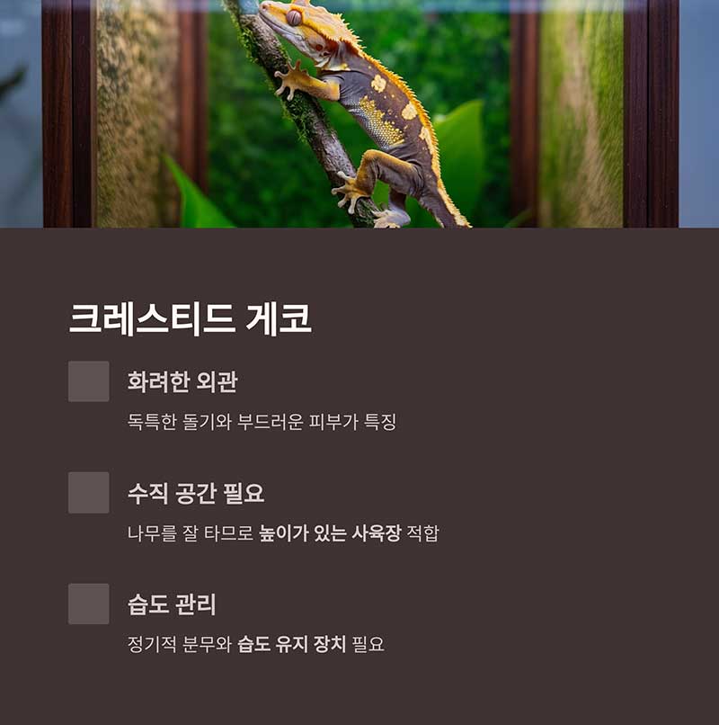 크레스티드 게코 (Crested Gecko)