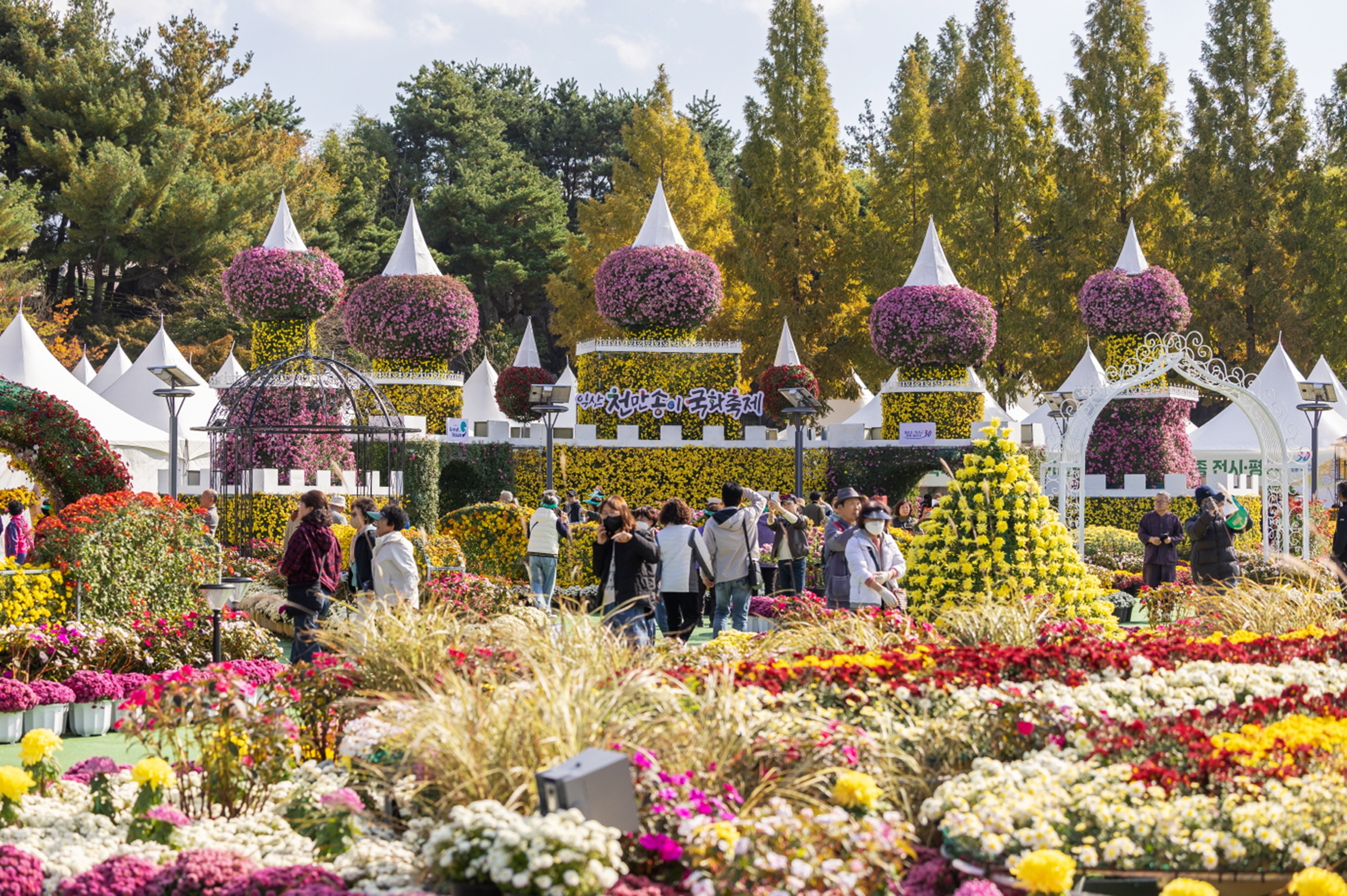 창원 마산가고파국화축제와 해안 경관 안내