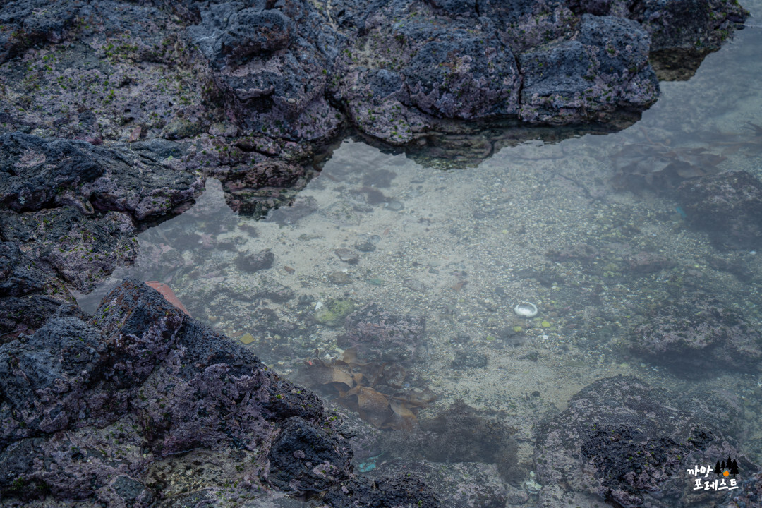 김녕 바닷길 바닷물