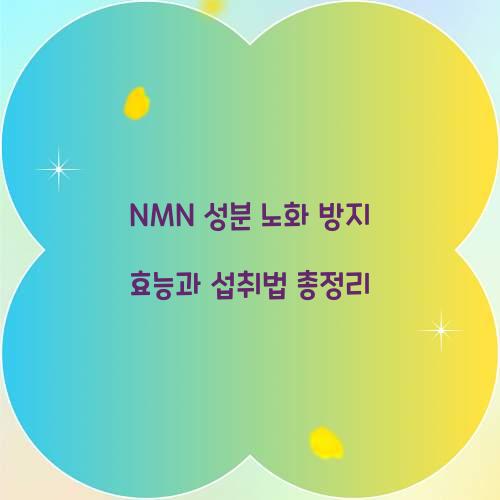 NMN 성분 노화 방지