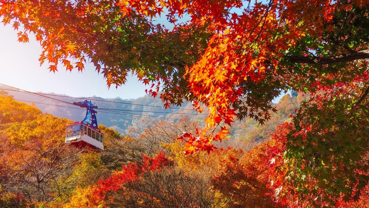 강원도 가을 단풍 여행 가이드 : 2025 설악산(속초/인제) 단풍 절정 시기 & 추천 코스