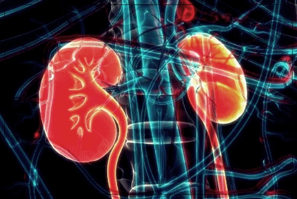 비임상 요도염의 원인과 효과적인 치료 방법.