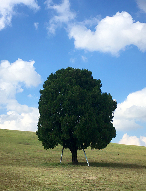 올림픽공원-풍경37