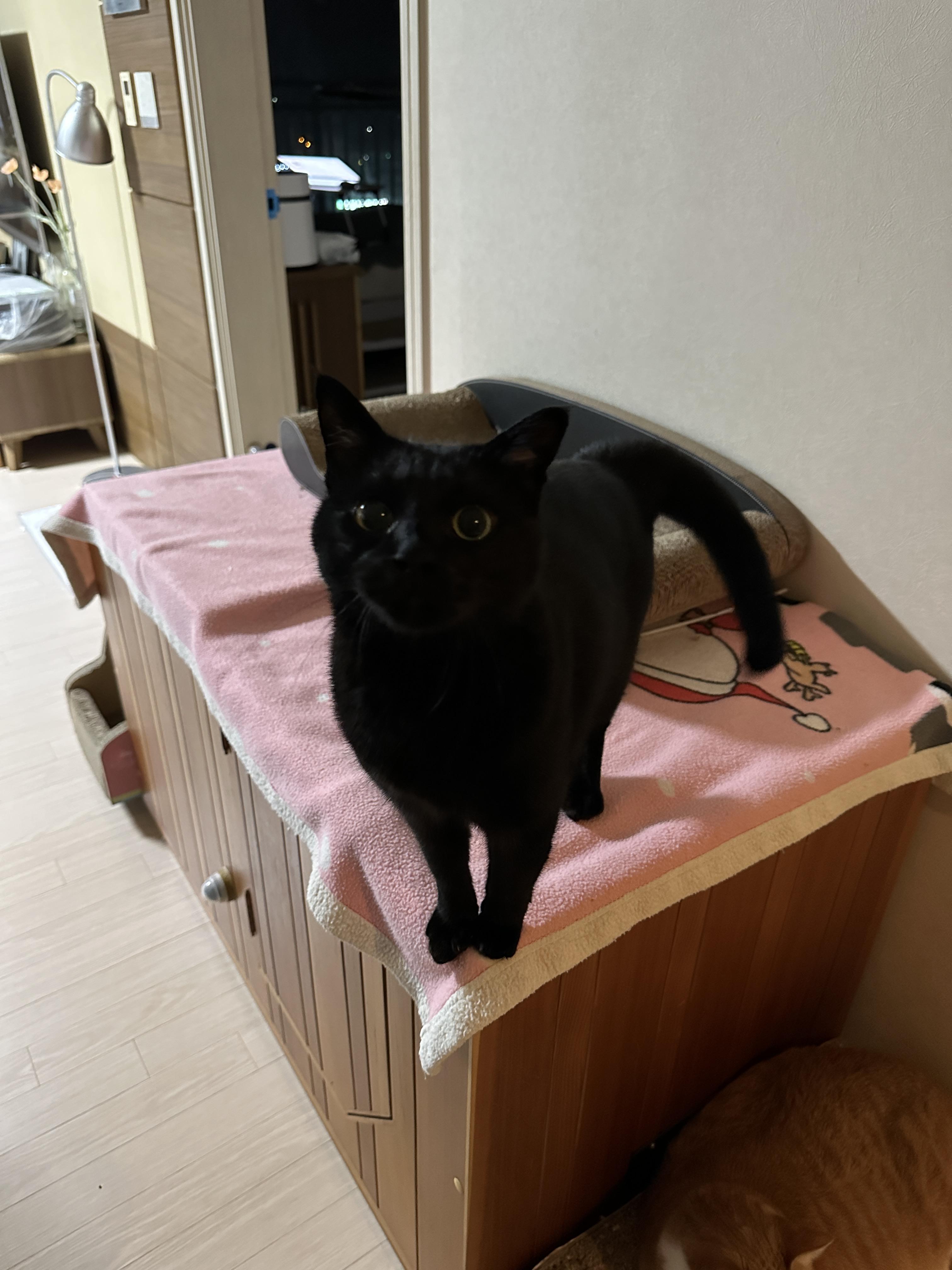 엄마랑_눈맞추고_있는_건이