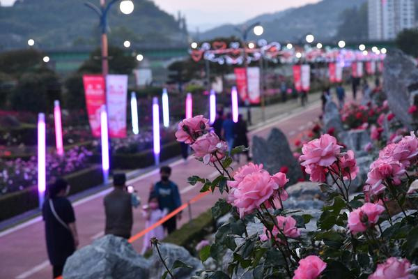 삼척 장미축제 일정 꽃길 따라 봄여행
