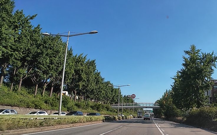 Alt 속성 문제 해결 설명 이미지