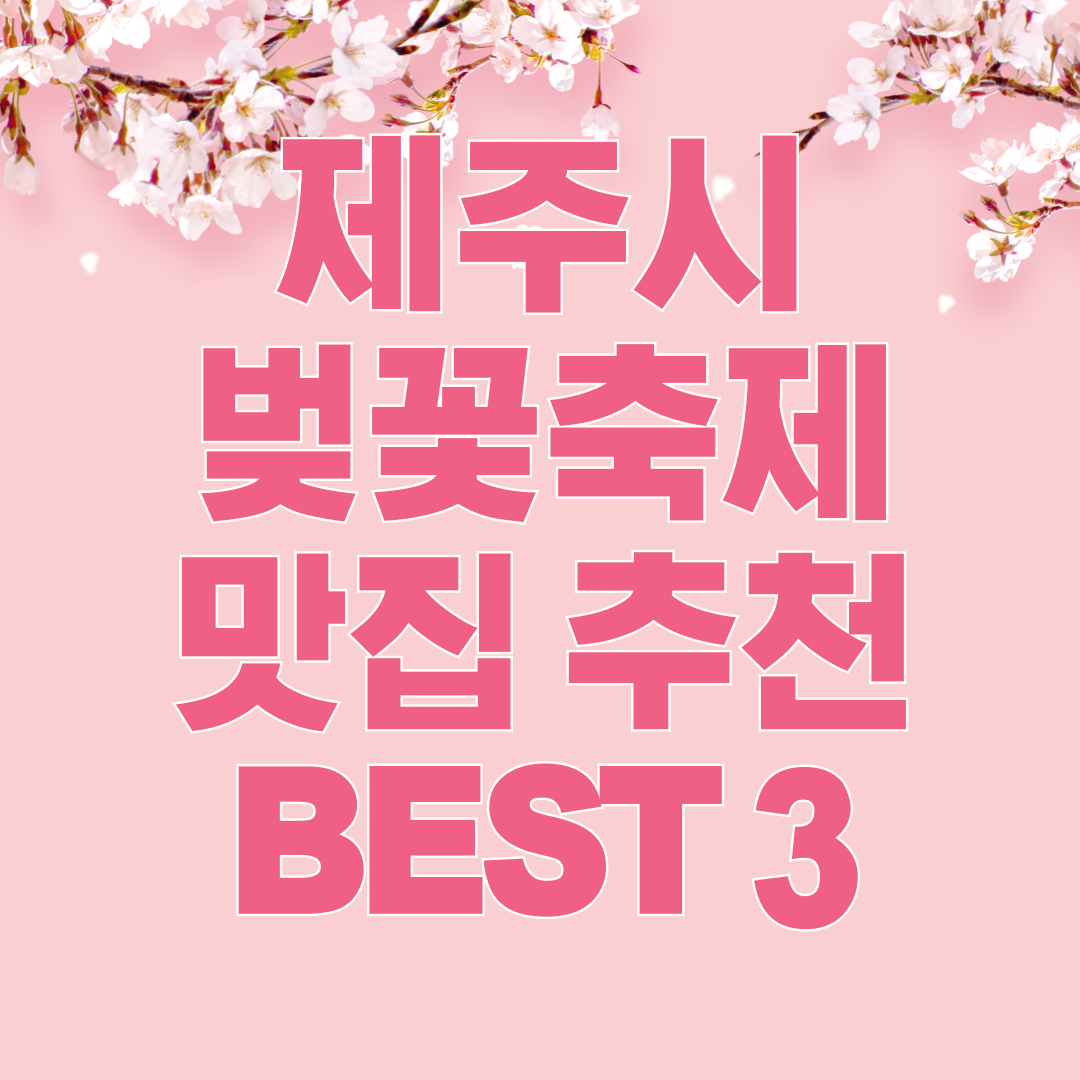 제주시 벚꽃축제 맛집 추천 BEST 3