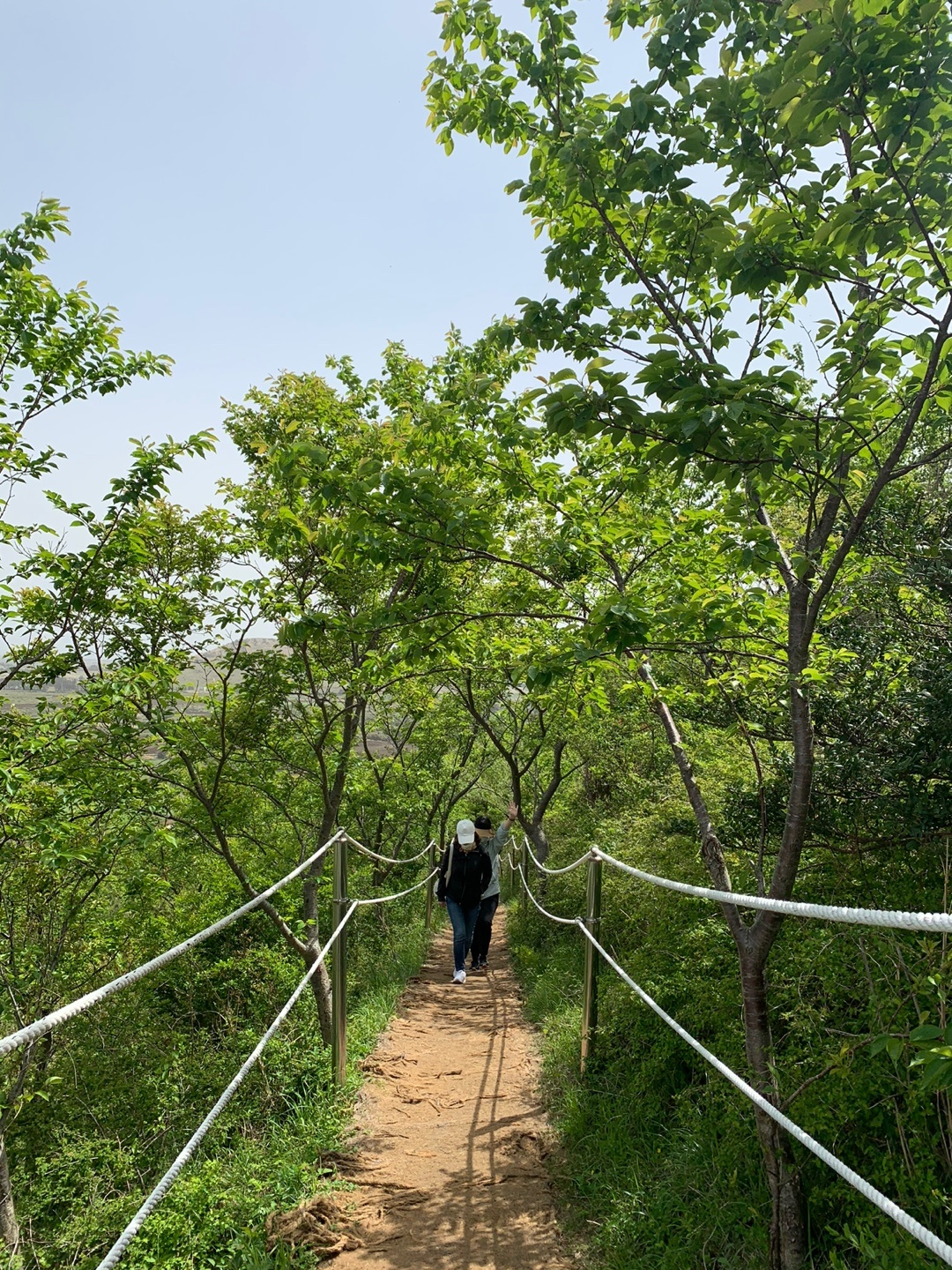 다랑쉬 오름 등산로