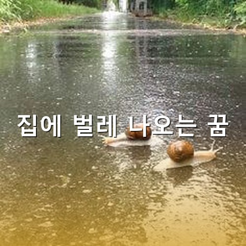 달팽이-두마리가-여유롭게-강물을-건너는-모습