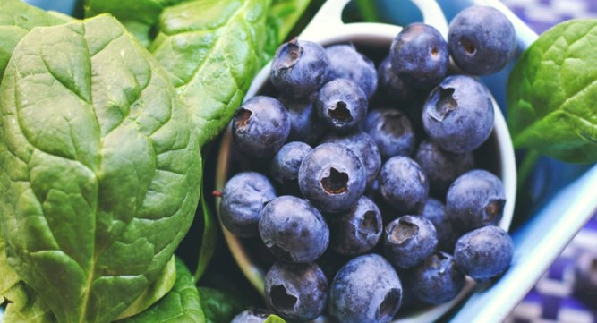 케르세틴 효능 및 복용법 및 퀘르세틴 영양제 음식 추천